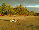 Beach - Manuel Antonio Costa Rica